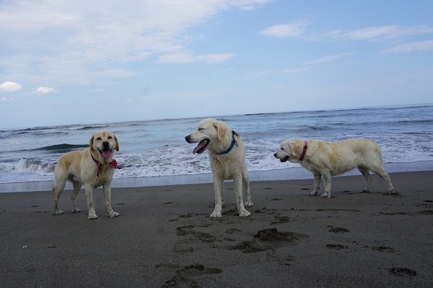 海の日