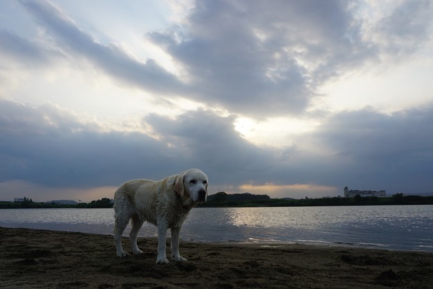 夕暮れ散歩