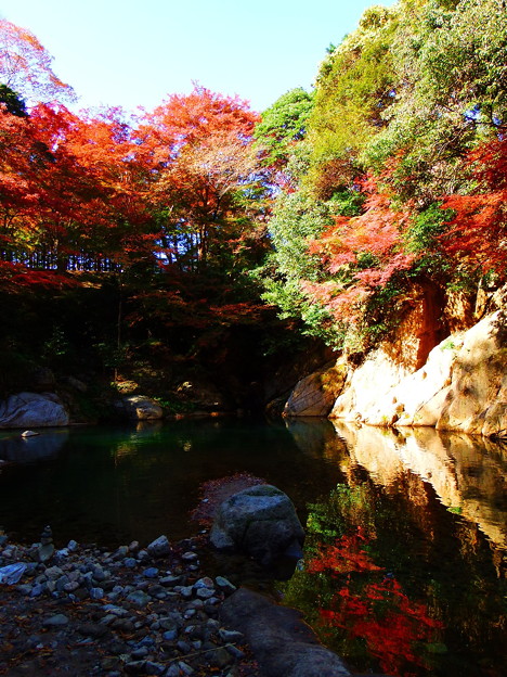 写真: 紅葉@河内渓谷