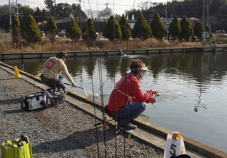 座間養魚場ドットコムに参戦…　健闘^^