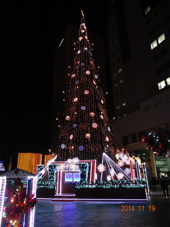 DSC09399