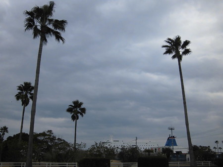宮崎201502 002