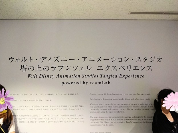 塔の上のラプンツェル エクスペリエンス