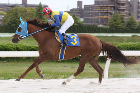 クインザドリーム 返し馬(17/05/04・中日スポーツ杯 第56回 駿蹄賞)
