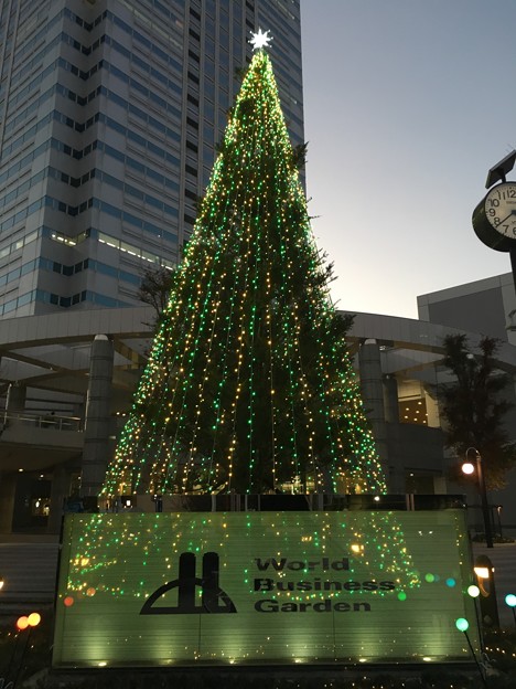 クリスマスツリー ワールドビジネスガーデン
