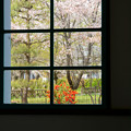 春の窓