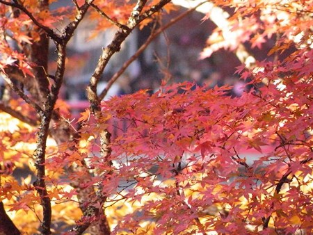 DSCF9426_R