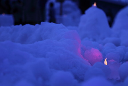 雪とピンクのせめぎい