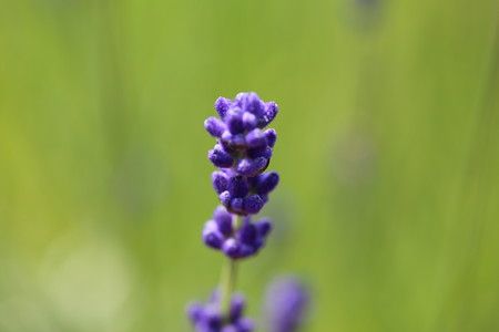2M6C6975