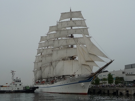 120602-新日本丸 (5)