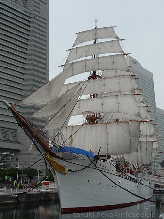 120602-旧日本丸 (14)
