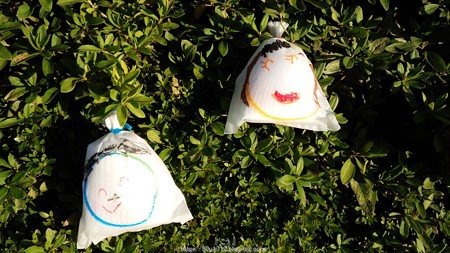 ひかりの実in ジョイナス(昼) (6)