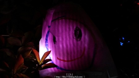 ひかりの実inジョイナス(夜) (12)