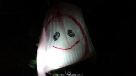 ひかりの実inジョイナス(夜) (23)