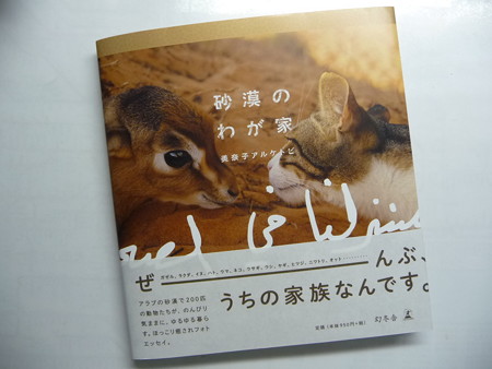 砂漠のわが家 (2)