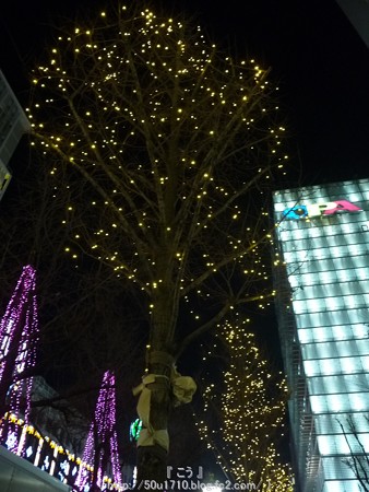 141223-大阪 御堂筋イルミネーション (82)