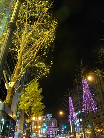 141223-大阪 御堂筋イルミネーション (106)
