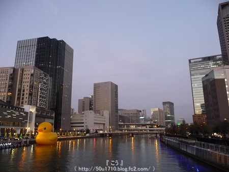 141223-大阪ほたるまち ラバーダック (6)