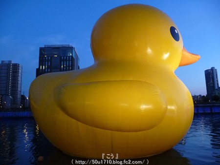141223-大阪ほたるまち ラバーダック (12)