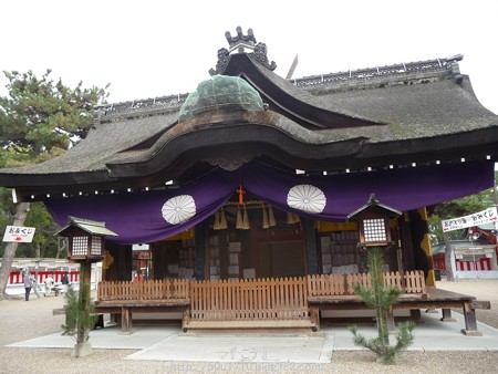141230-住吉大社 (7)