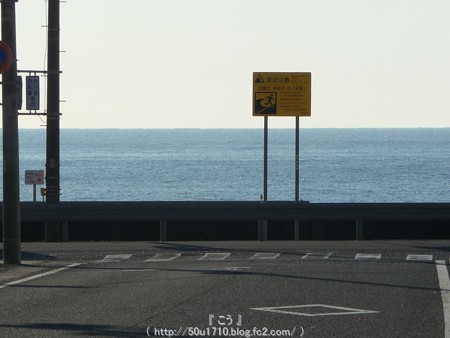 150108-久能山東照宮 参道 (4)