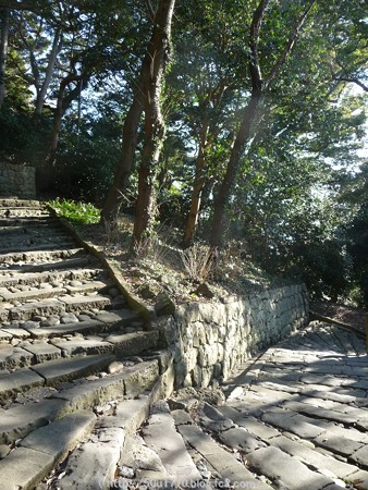 150108-久能山東照宮 参道 (23)