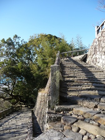 150108-久能山東照宮 参道 (49)