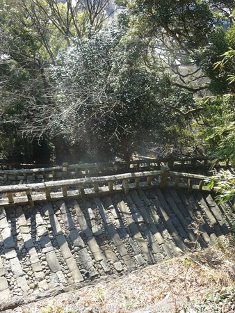 150108-久能山東照宮 参道 (53)