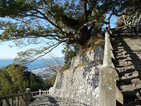 150108-久能山東照宮 参道 (55)
