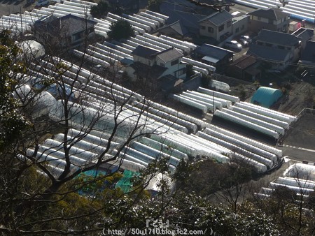 150108-久能山東照宮 参道 (63)