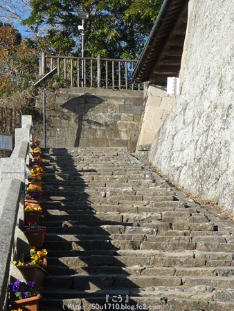 150108-久能山東照宮 参道 (67)