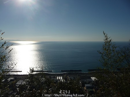 150108-久能山東照宮 参道 (77)