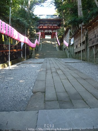 150108-久能山東照宮 (1)