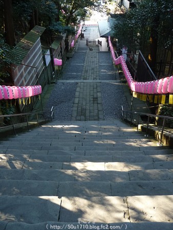 150109-久能山東照宮 (9)