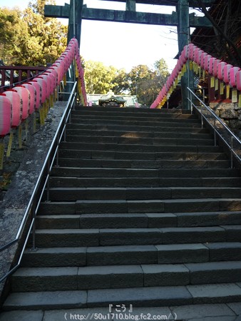 150109-久能山東照宮 (20)