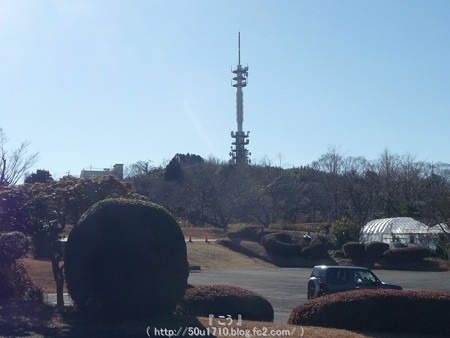 150109-日本平 (22)