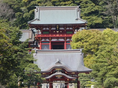 170413-鶴岡八幡宮 (4)