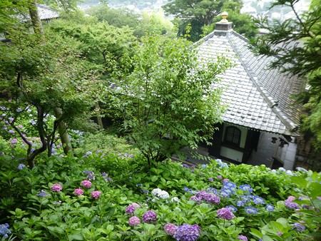 170628-鎌倉 長谷観音 (25)