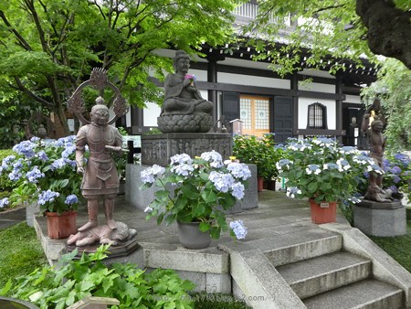 170628-鎌倉 長谷観音 (181)