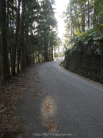 160325-熊野古道 小辺路 (4)