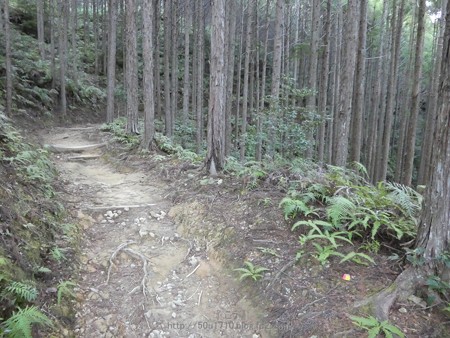 160325-熊野古道 小辺路 (19)