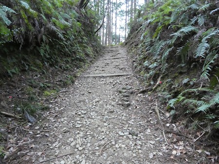 160325-熊野古道 小辺路 (24)