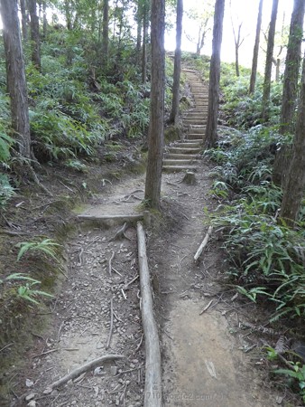 160325-熊野古道 小辺路 (33)