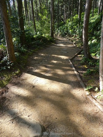 160325-熊野古道 小辺路 (59)