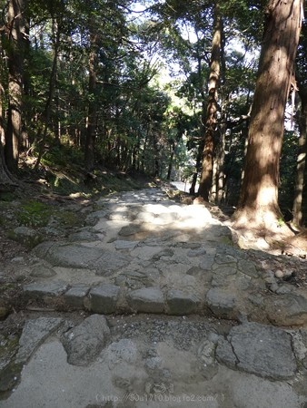 160324-神倉神社 (42)