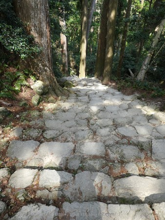 160324-熊野那智大社 熊野古道 (5)