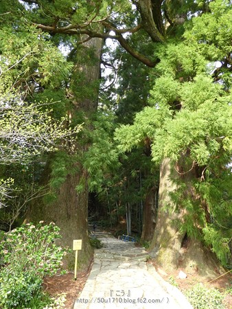 160324-熊野古道 大門坂 (29)