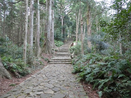 160324-熊野古道 大門坂 (79)