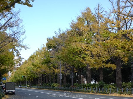 171112-山下公園通り (33)