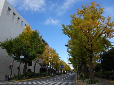 171112-山下公園通り (41)